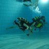 schnuppertauchen_2009_32