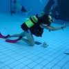 25-Stunden-Schwimmen